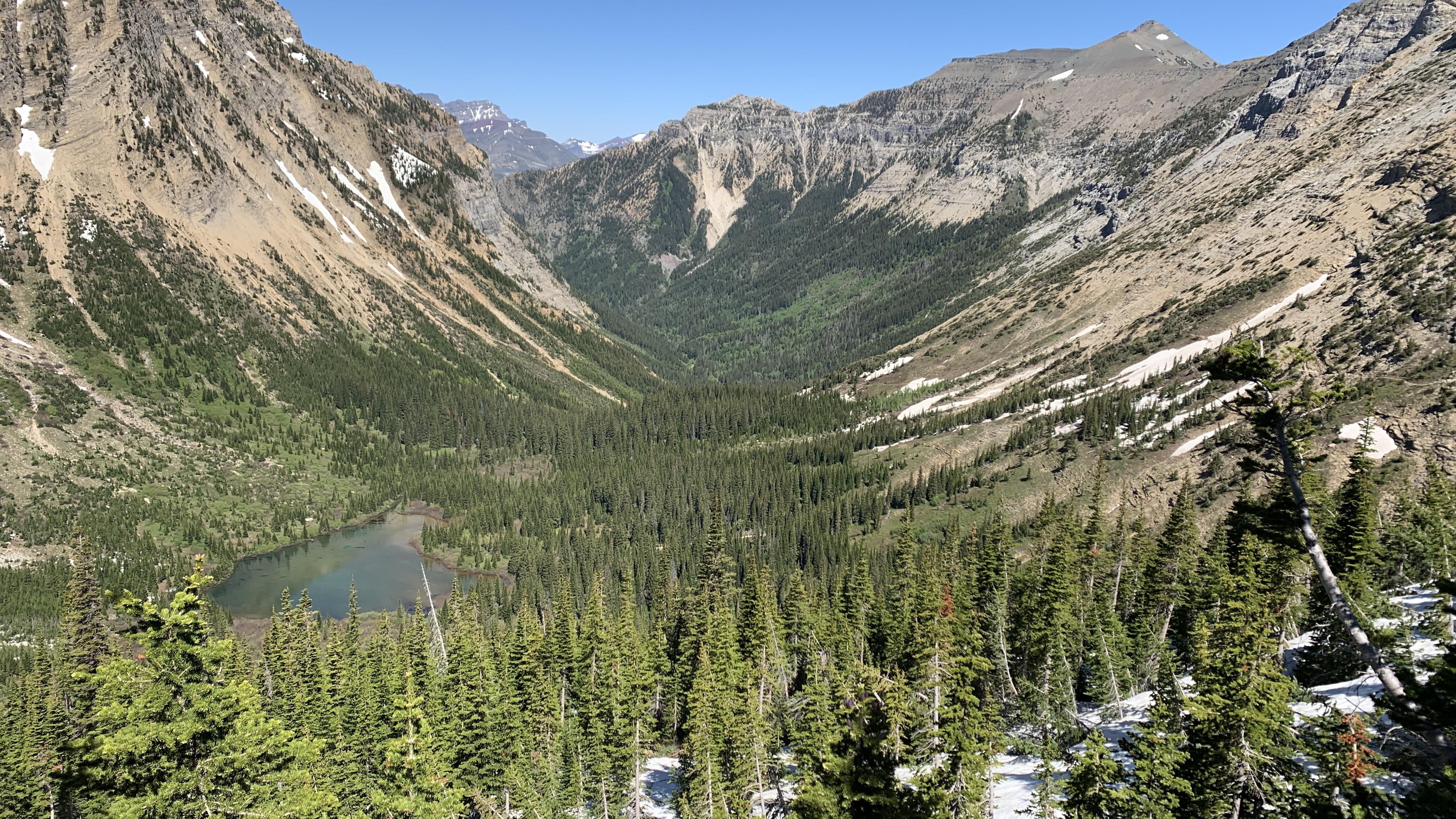 Sentiers glissants dans les Rocheuses et présence d'algues bleu-vert ...