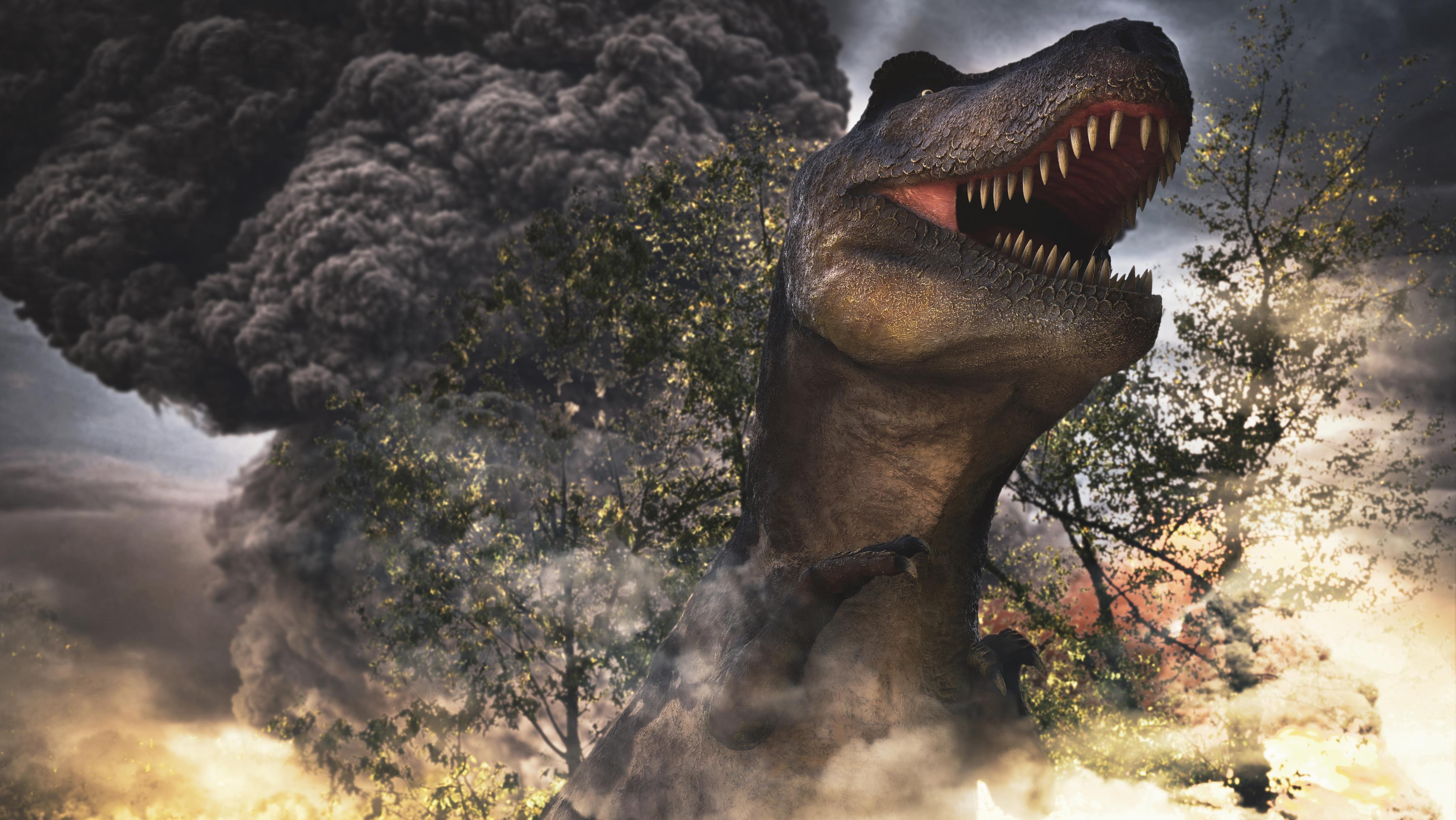 La Terre Etait Instable Avant L Extinction Des Dinosaures Radio Canada Ca La Terre Etait Instable Avant L Extinction Des Dinosaures Radio Canada Ca