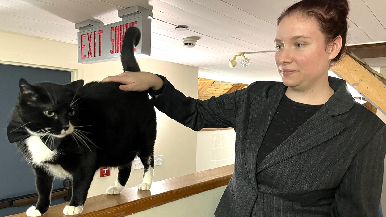 Un chat adopté par le Musée de Saint-Boniface pour aider la Winnipeg ...