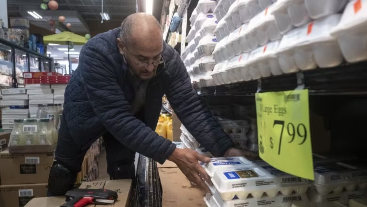 Did supply management help Canada sidestep the ongoing bird flu crisis ...