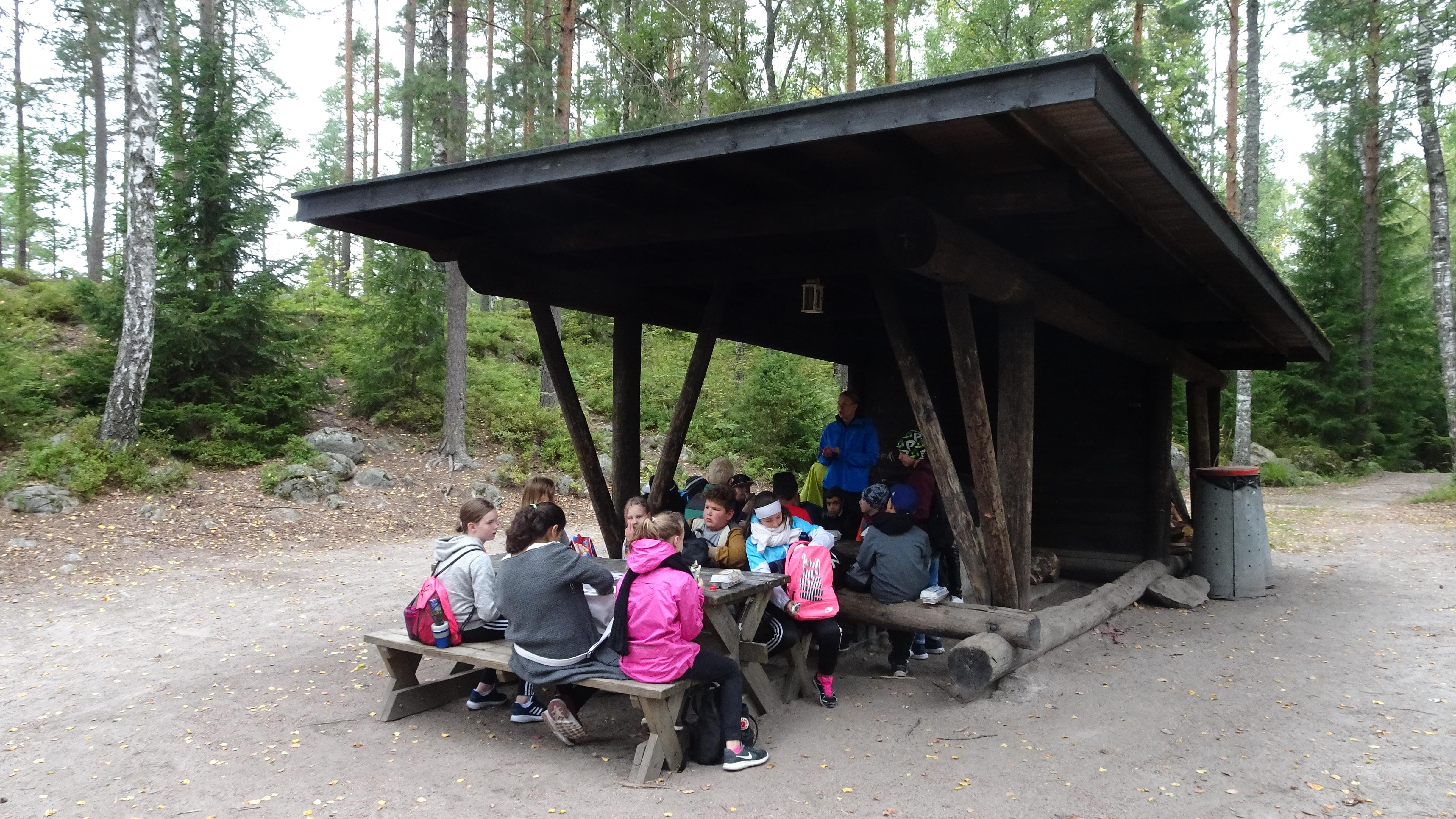 Faire la classe dans la forêt finlandaise 