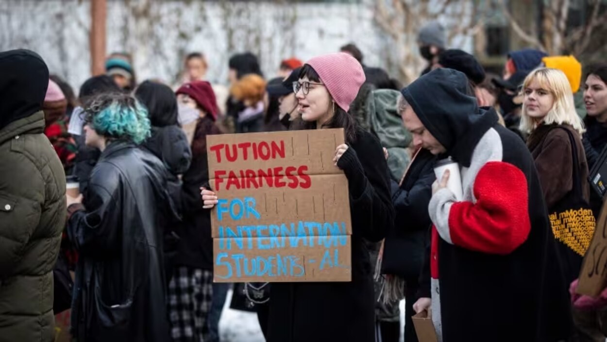 Canada’s international student spike was blamed on private colleges ...