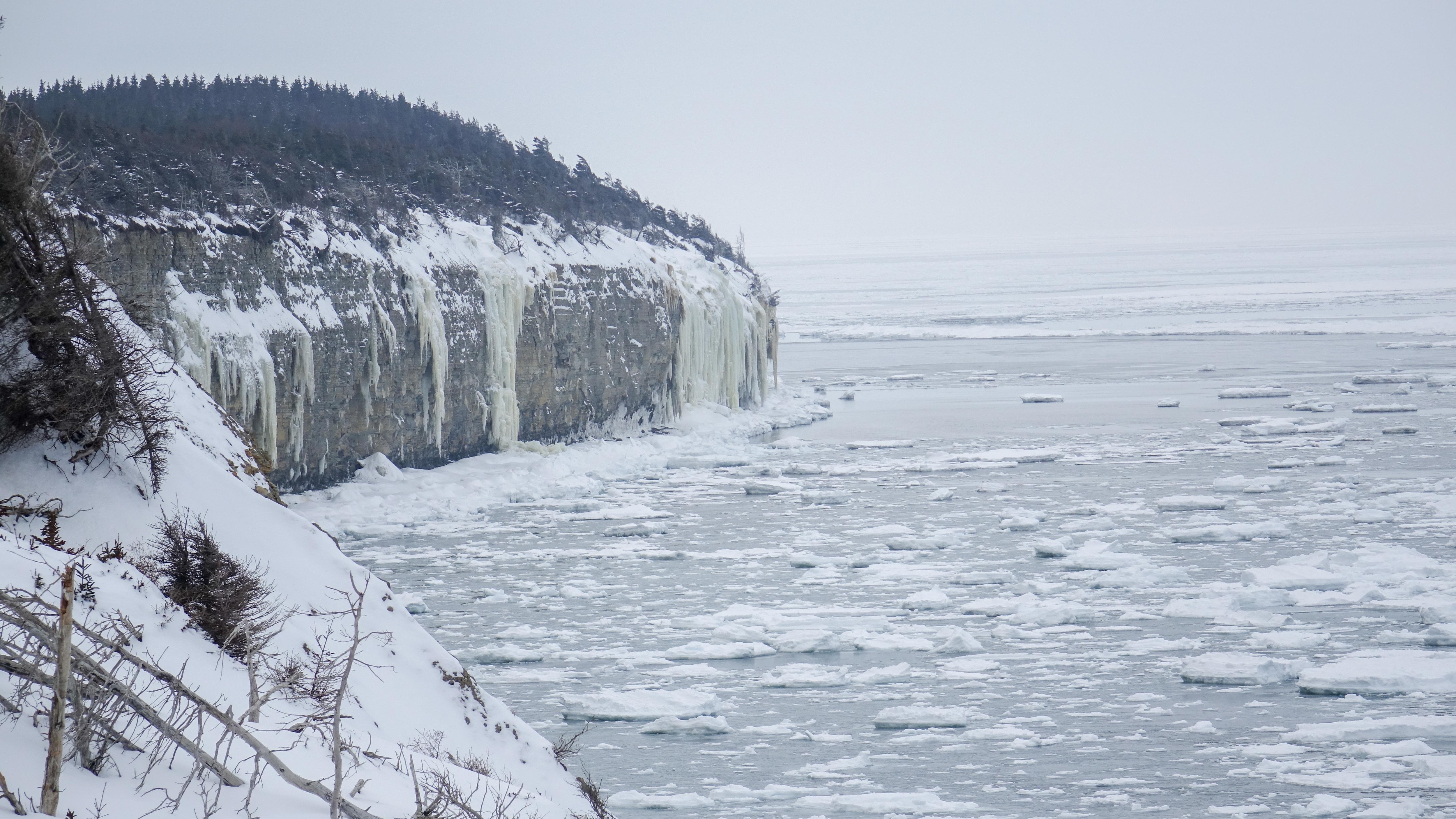 Anticosti refuse l'accueil d'une escale pour une liaison maritime entre la Gaspésie et la Côte-Nord