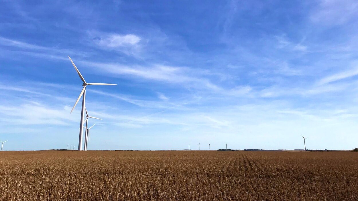 Promenade autour de NotreDamedeLourdes RadioCanada