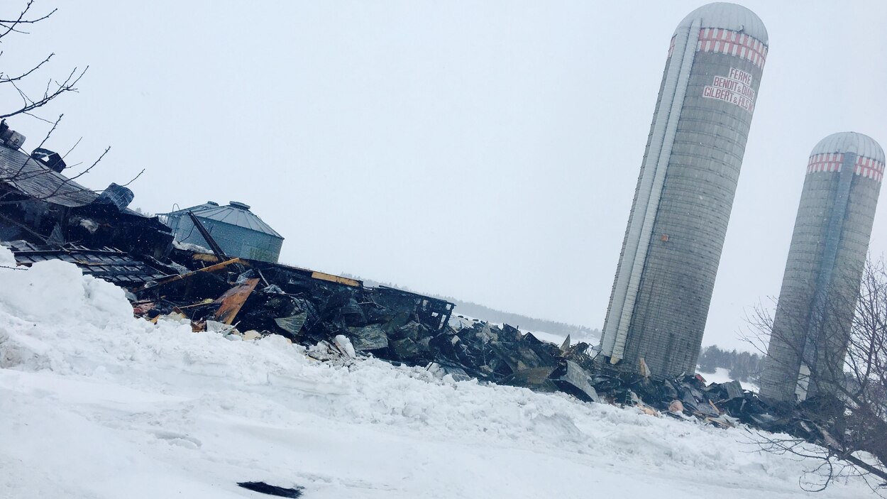 Une étable rasée par les flammes à SaintHenrideTaillon RadioCanada