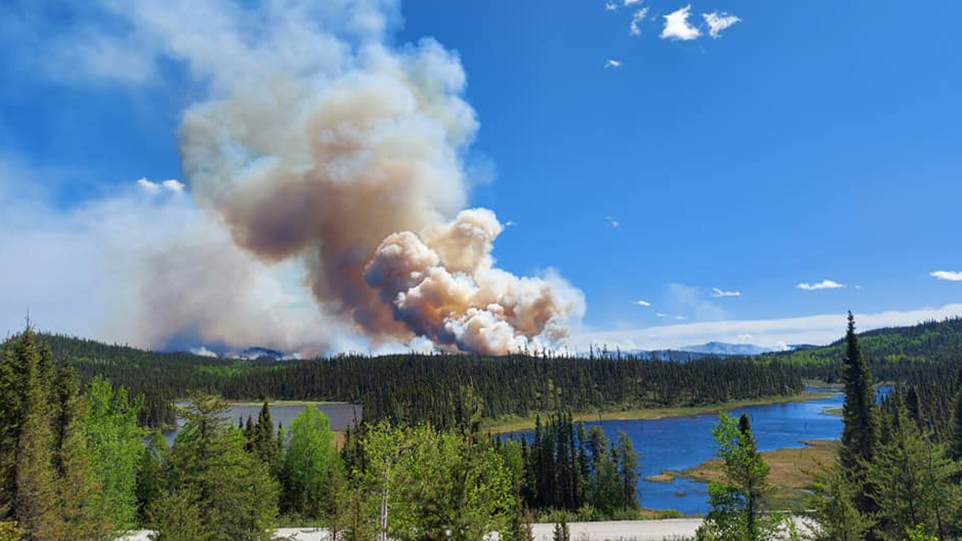 Leçons retenues des incendies de forêt de 2020