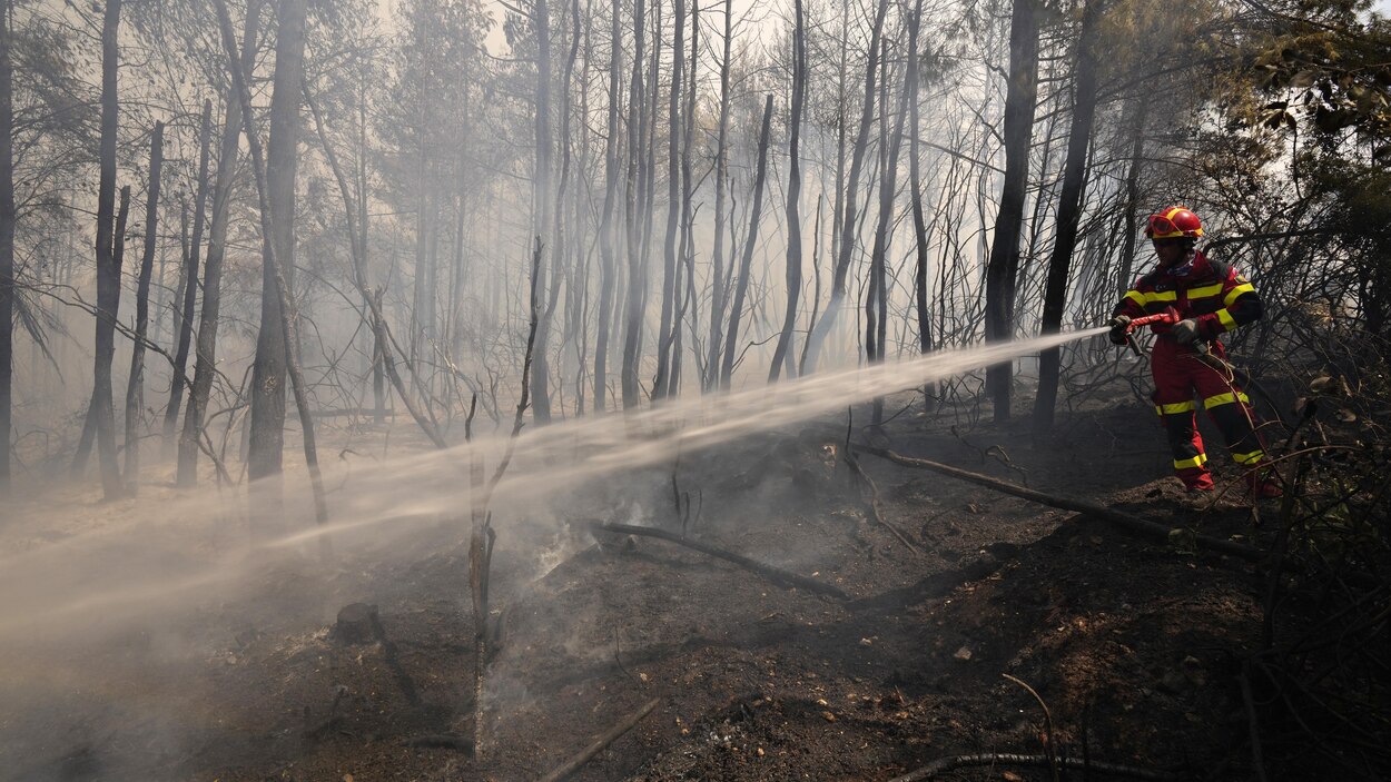 Incendies dans les Territoires du Nord-Ouest, Ottawa somme Meta de cesser  le blocage des nouvelles canadiennes