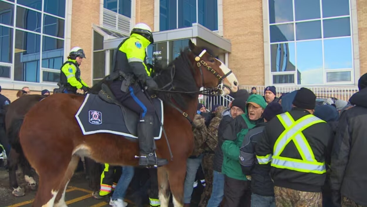 N.L. budget postponed amid rowdy protest of fish harvesters at ...