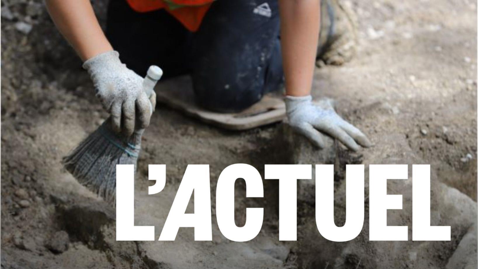 Un Manitobain a contribué à la découverte de vomi fossilisé en Allemagne