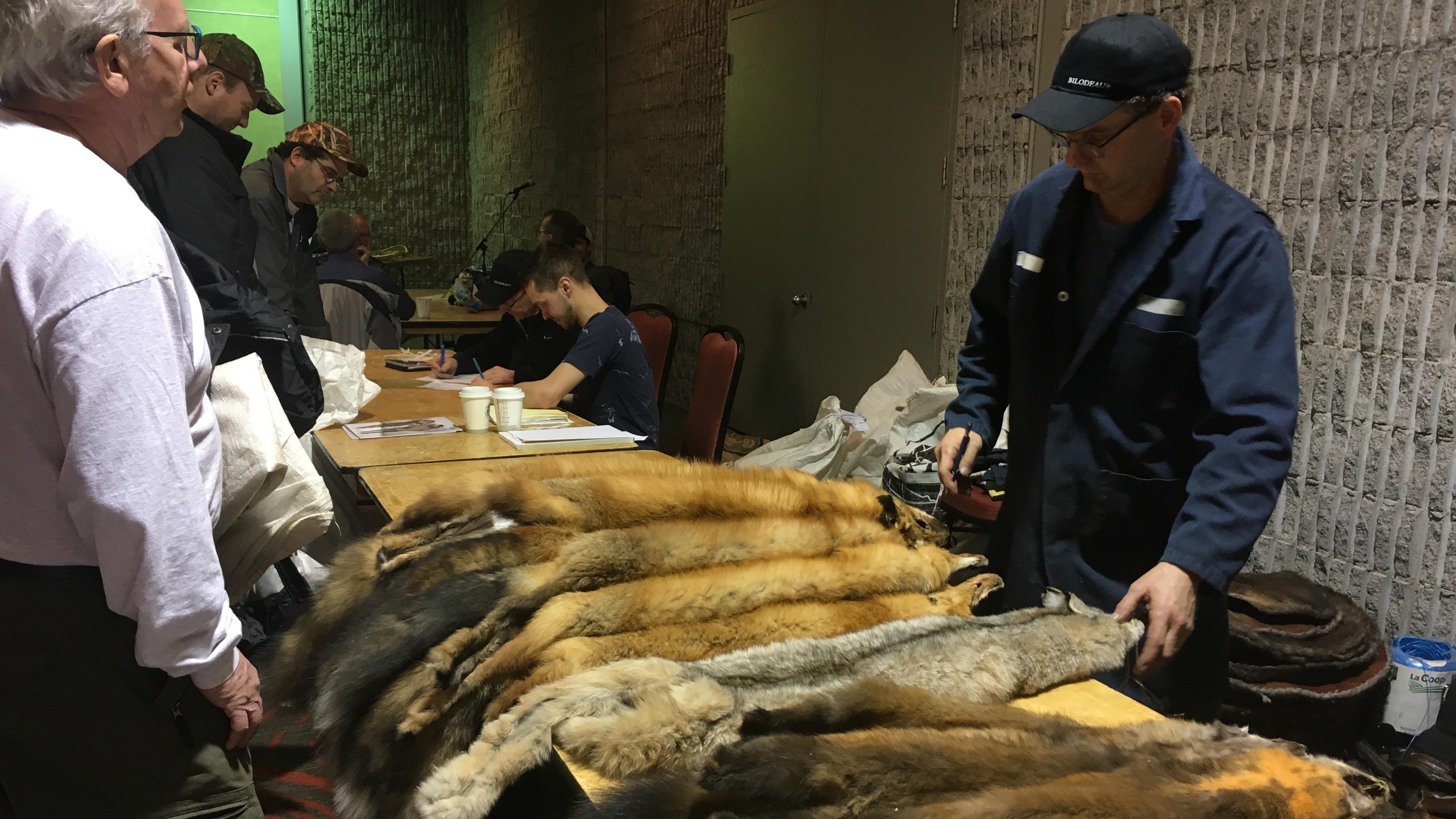 marque trappeur avis