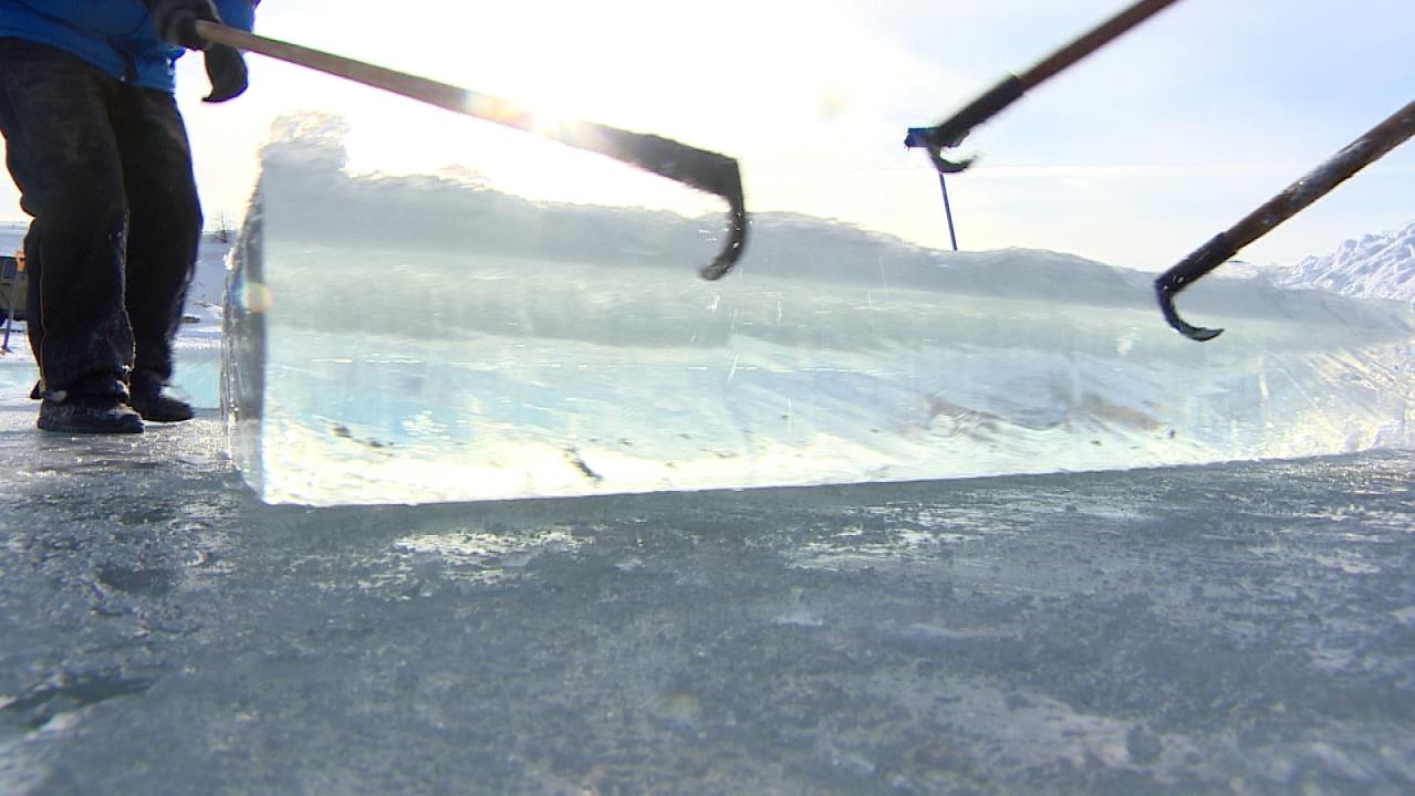 Un Colon Qu Est Ce Que Ca Mange En Hiver Petite Histoire De L Alimentation Des Pionniers Radio Canada Ca