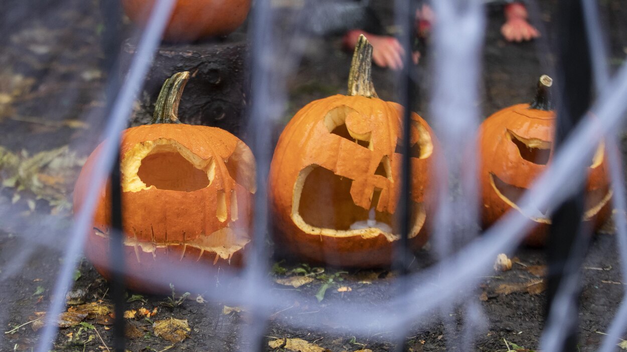 Annulation De Plusieurs Activités D'halloween À Québec | Radio-Canada.ca