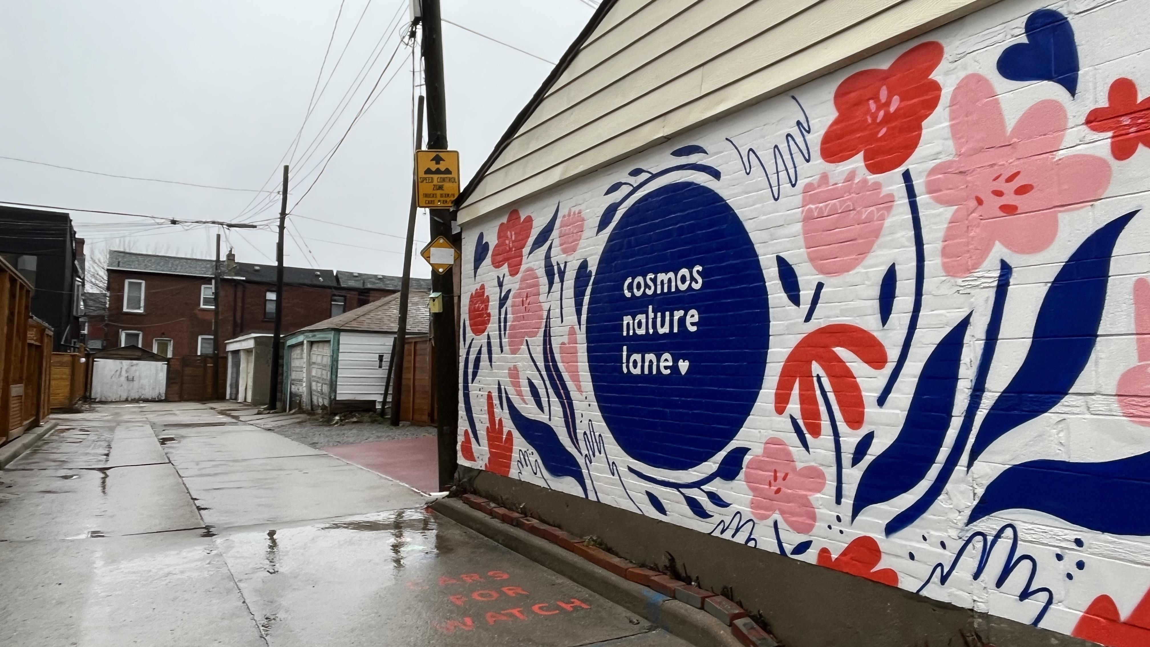 La revitalisation des ruelles à Toronto | OHdio | Radio-Canada