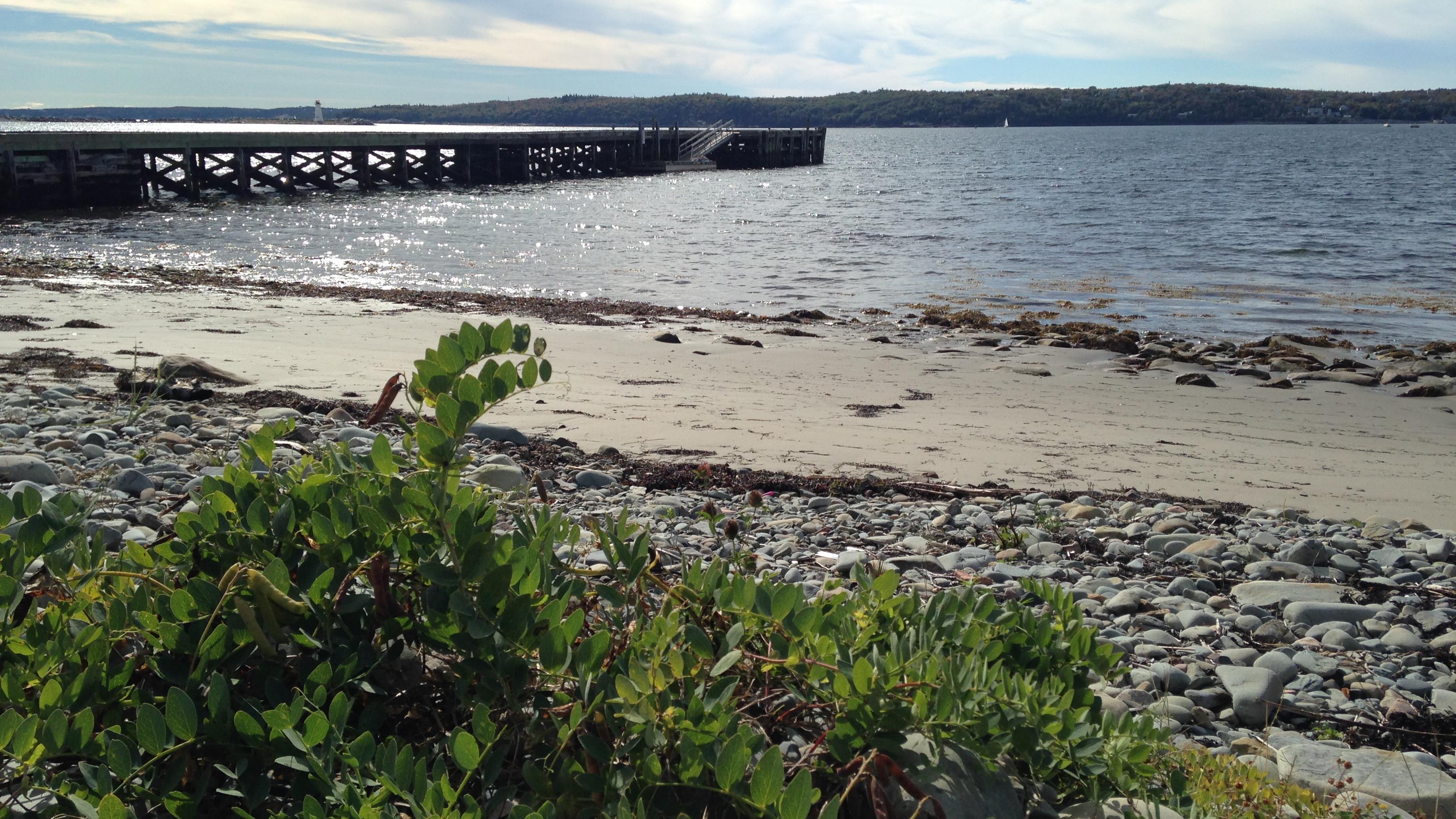 Voici mon île : McNabs à Halifax
Voici mon île : McNabs à Halifax