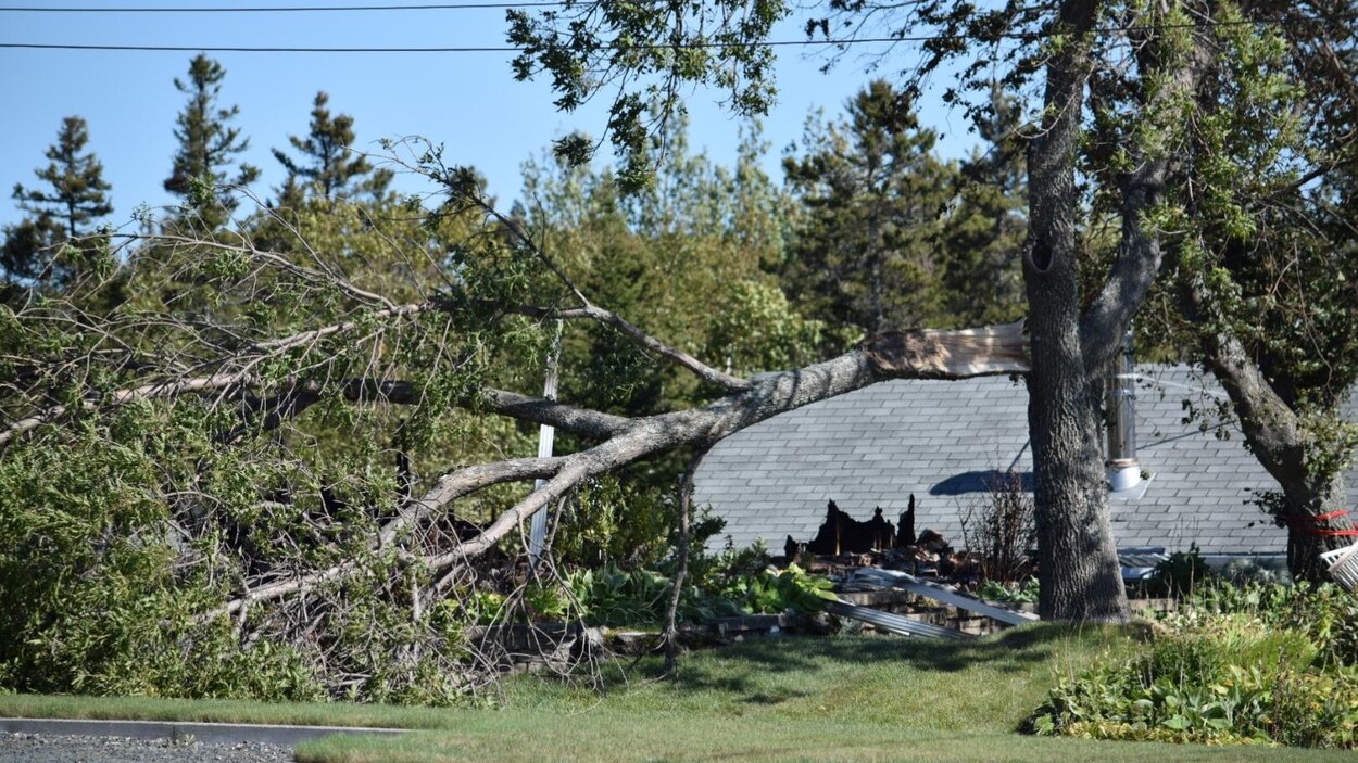 Alimenté par les forts vents, le feu ravage une résidence à Matane ...