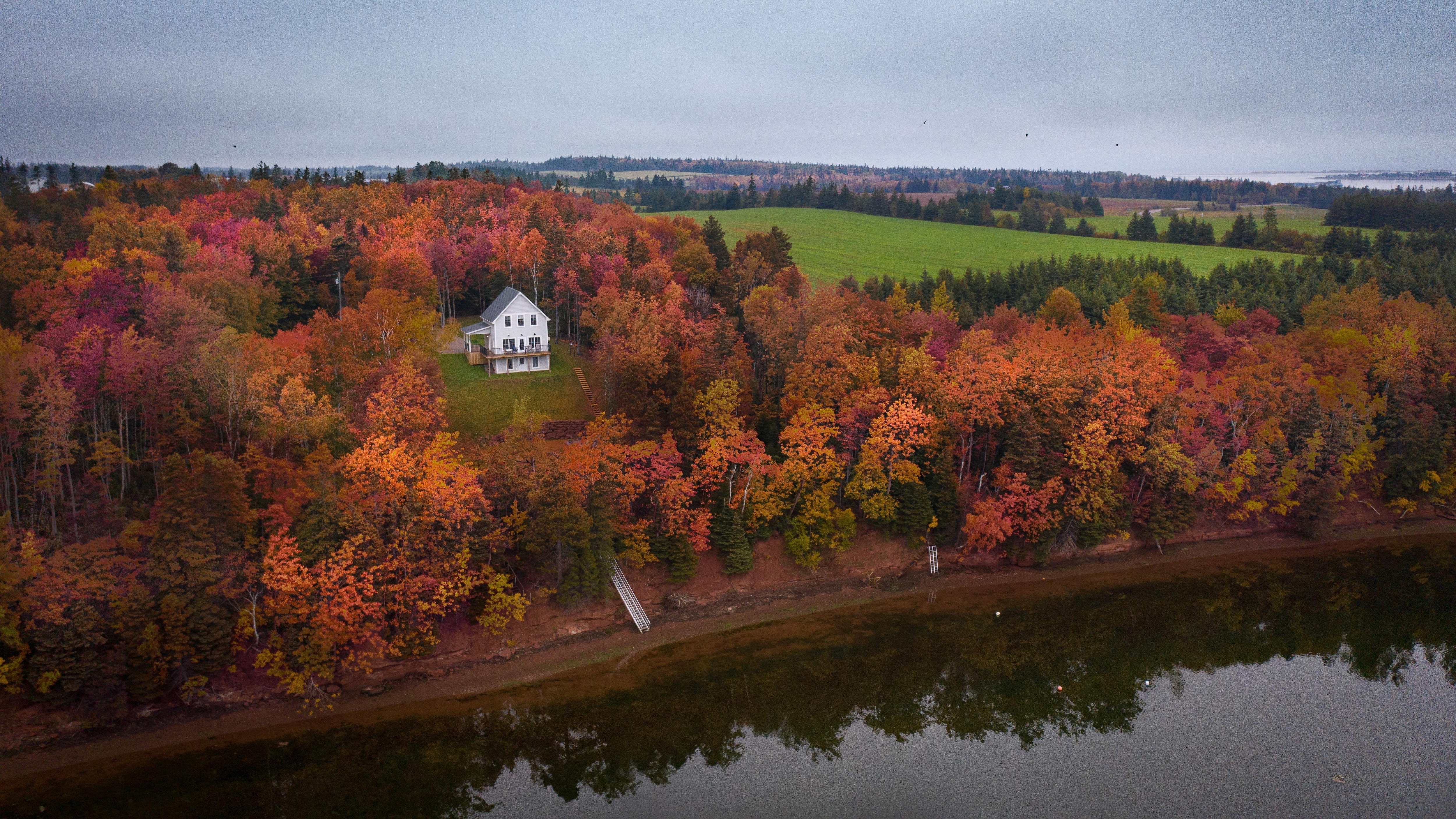 Les couleurs d'automne expliquées par la science 
Les couleurs d'automne expliquées par la science