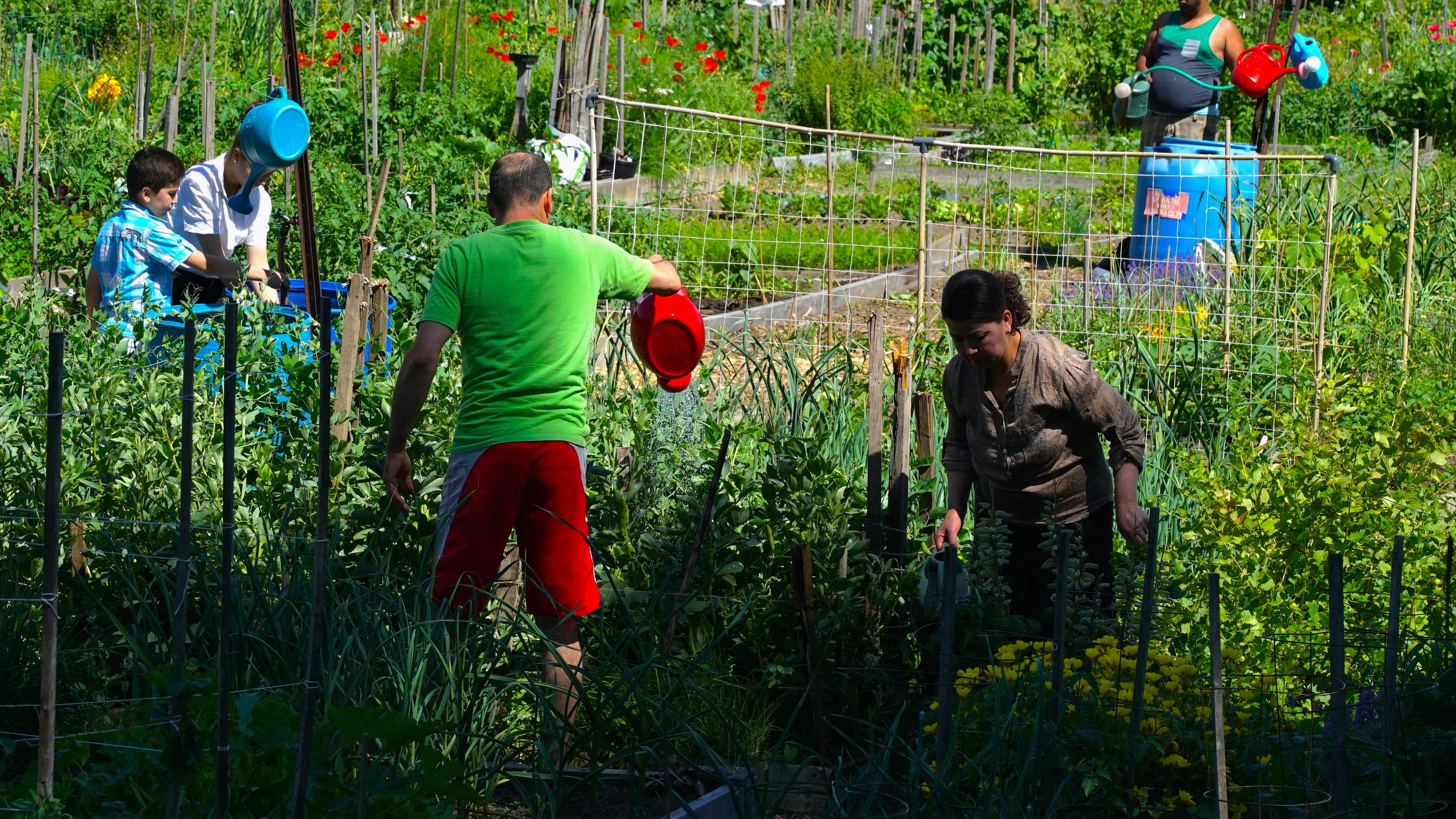 Les bienfaits du jardinage - Blog jardin