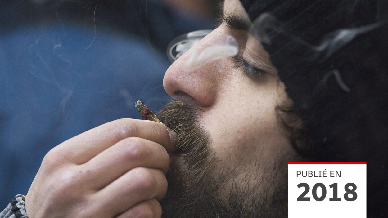 Le cannabis sera traité comme le tabac à Montréal, Cannabis : les effets  de la légalisation