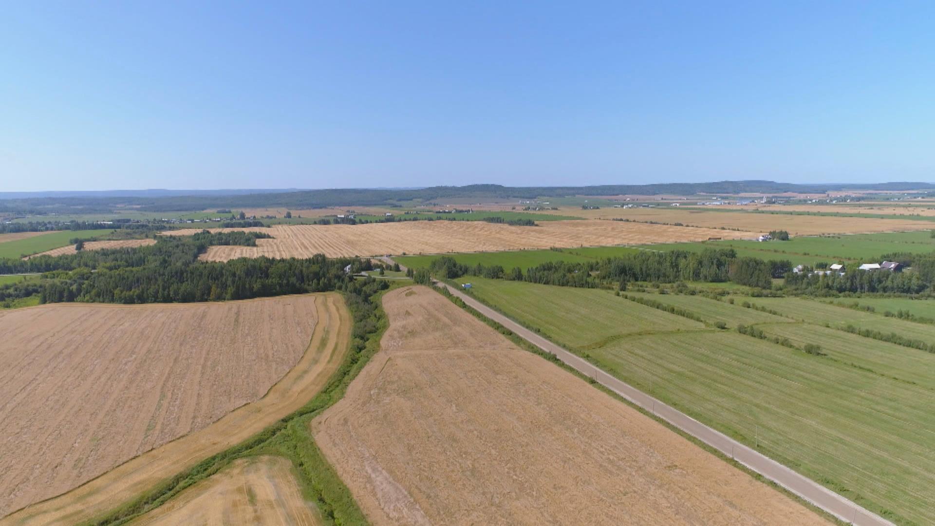 Série agricole :  occuper le territoire
Série agricole :  occuper le territoire