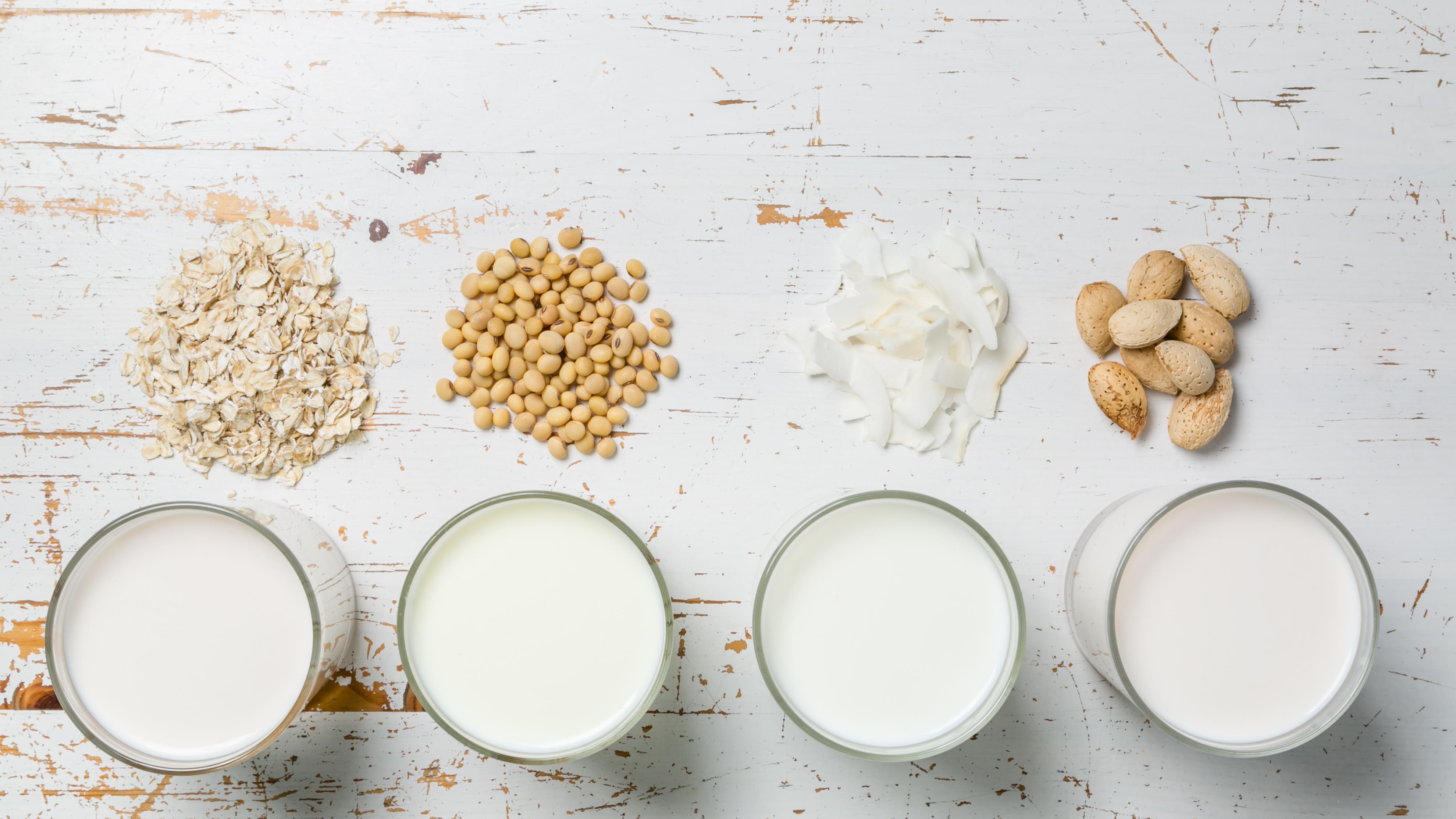 Les meilleurs laits végétaux pour la planète - Fondation David Suzuki