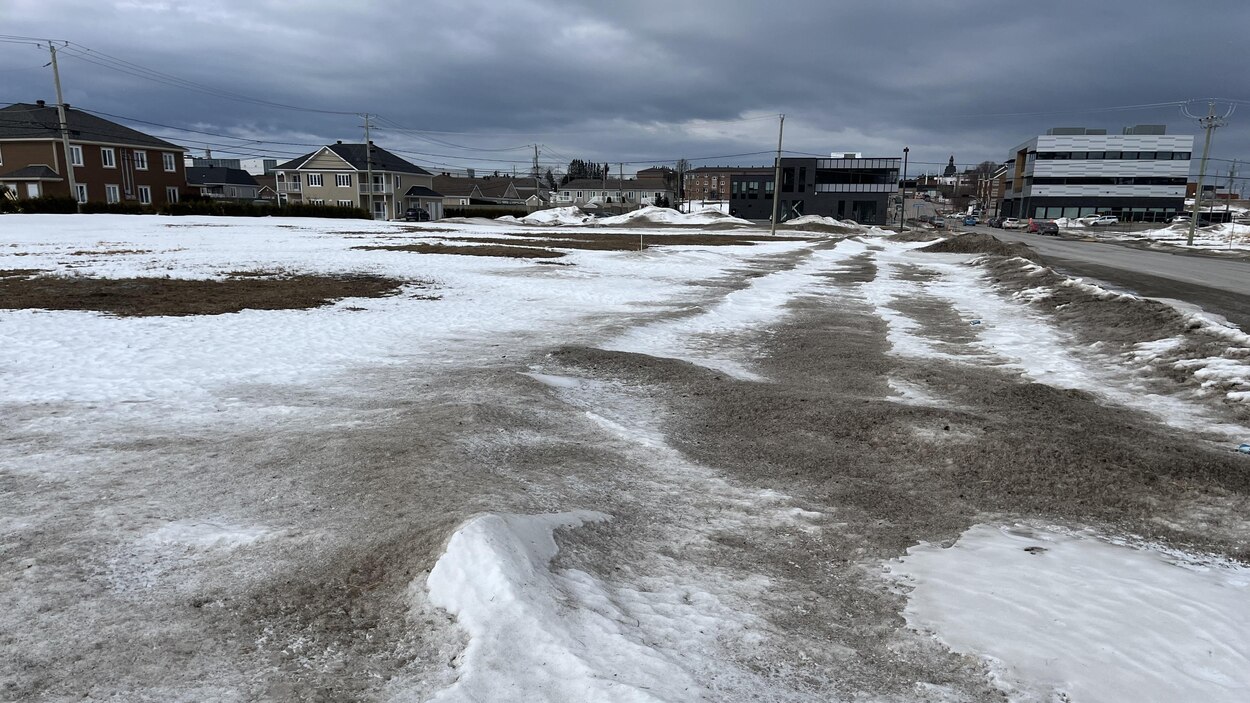 53 nouveaux logements verront le jour sur la rue Alcide-C.-Horth à ...