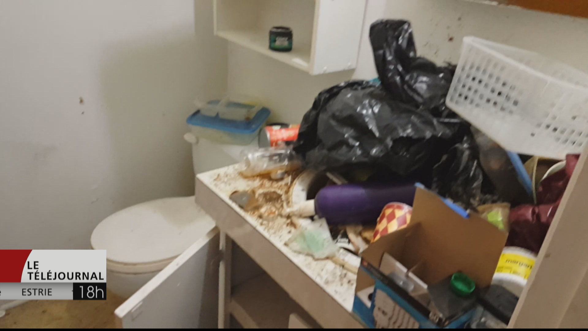 Un Logement Laisse Dans Un Etat D Insalubrite Extreme A Drummondville Radio Canada Ca Un Logement Laisse Dans Un Etat D Insalubrite Extreme A Drummondville Radio Canada Ca