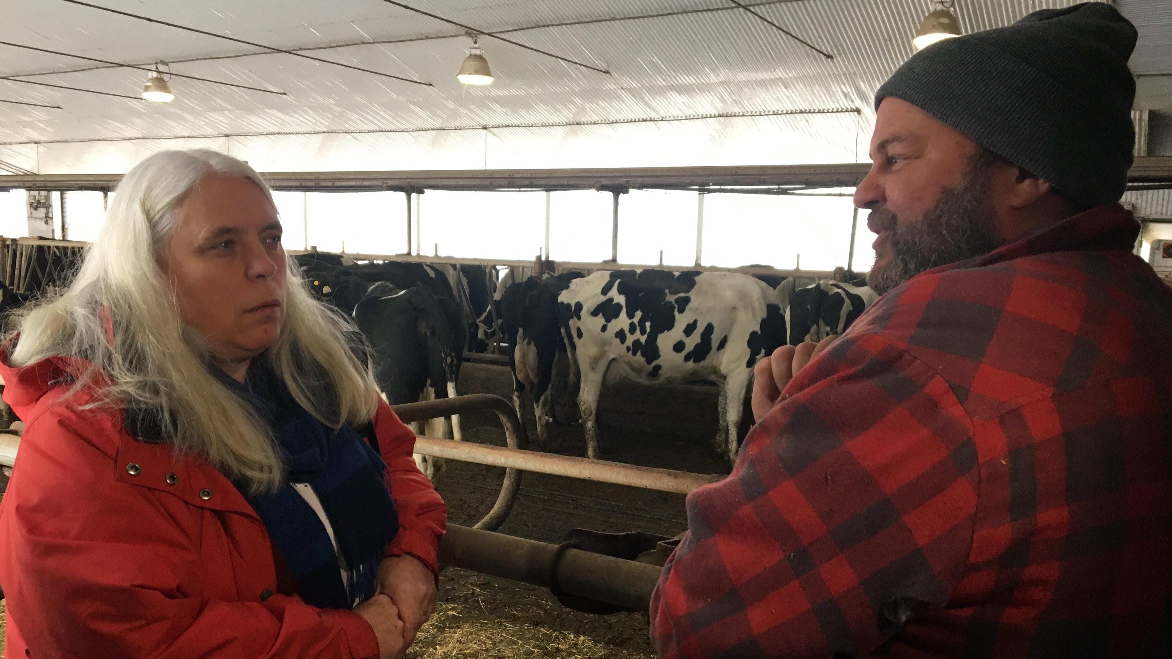 Québec solidaire en campagne dans Roberval