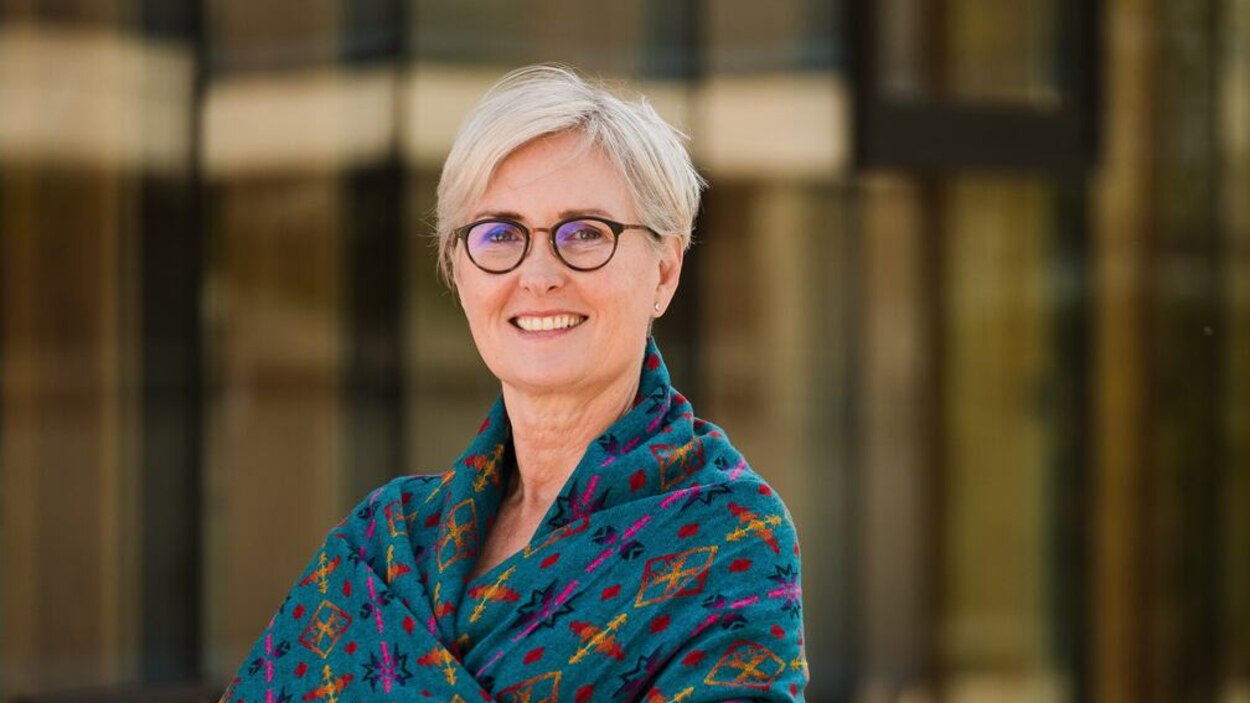 Origines de Mary Ellen TurpelLafond les zones d’ombre s