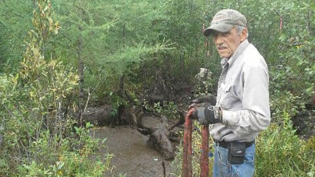 Des prospecteurs sauvent un orignal coincé dans la boue | Radio-Canada