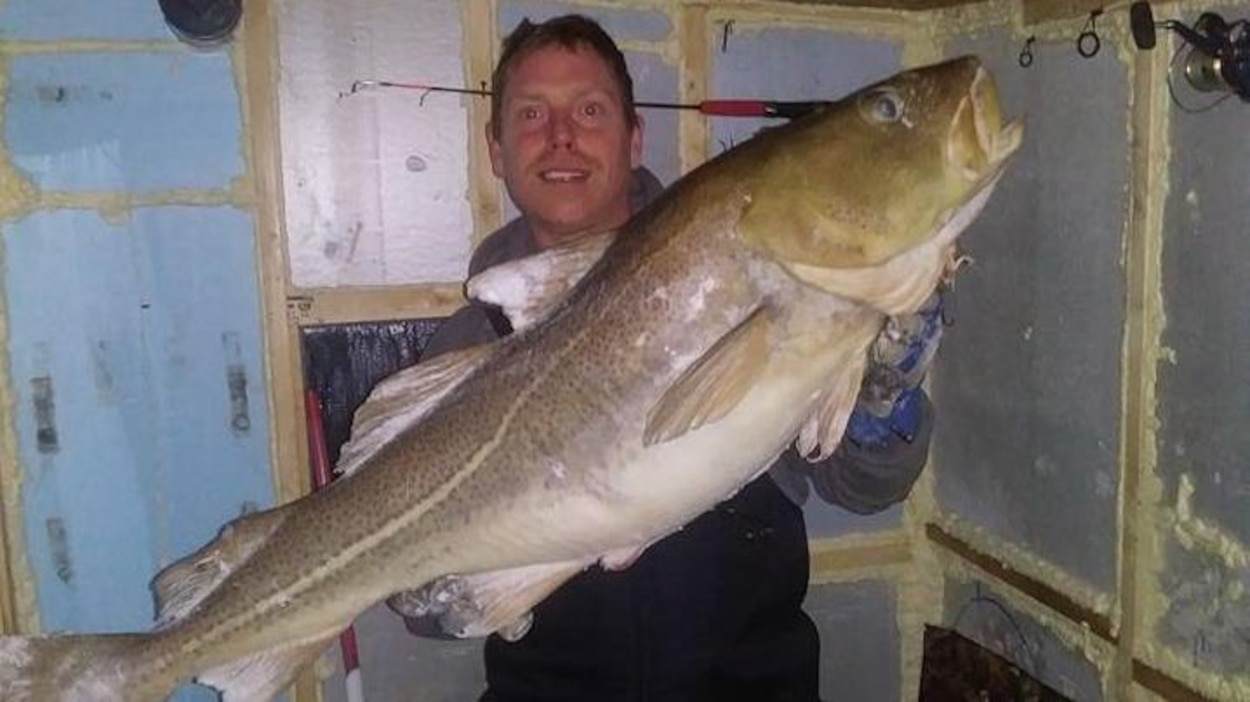 Un Pecheur Capture Une Morue Monstre Dans Les Glaces De La Baie Des Ha Ha Radio Canada Ca