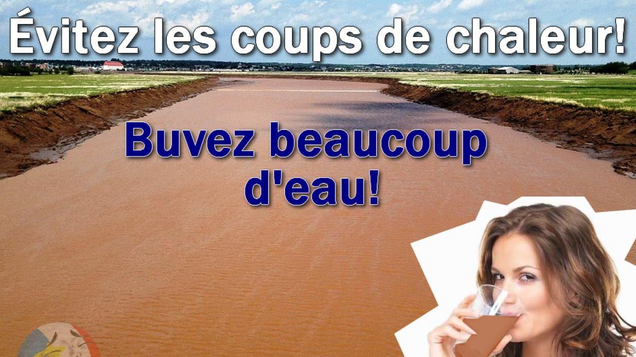 Les Memes Internet En Acadie Une Facon D Assumer Son Identite Radio Canada Ca Les Memes Internet En Acadie Une Facon D Assumer Son Identite Radio Canada Ca