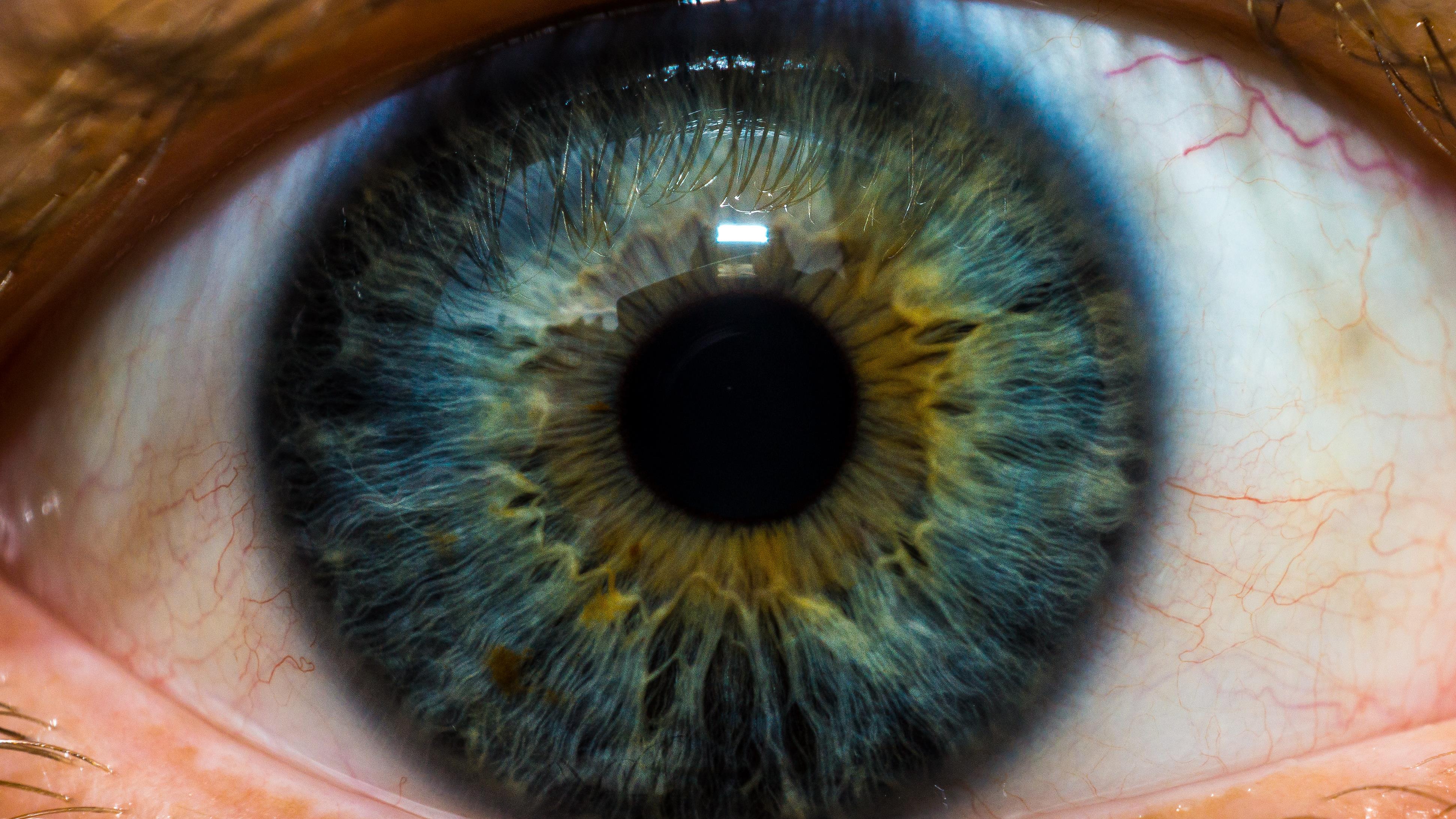 Une simple injection permet d’obtenir une vision infrarouge | Radio-Canada