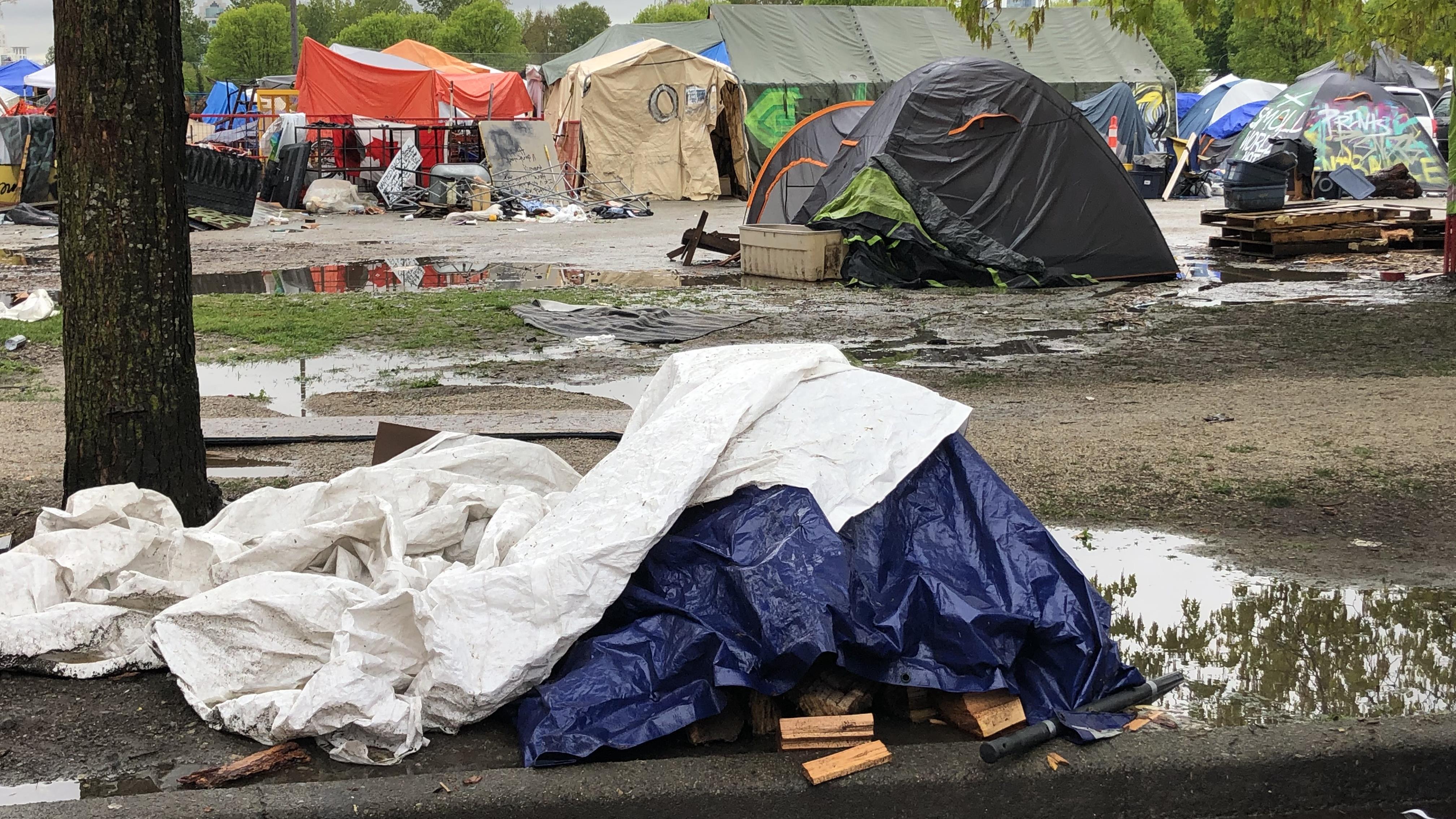 Que retenir de l'année 2021 à la Commission des parc de Vancouver?
Que retenir de l'année 2021 à la Commission des parc de Vancouver?