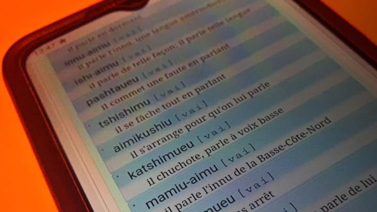 Les technologies numériques au service de la revitalisation des langues ...