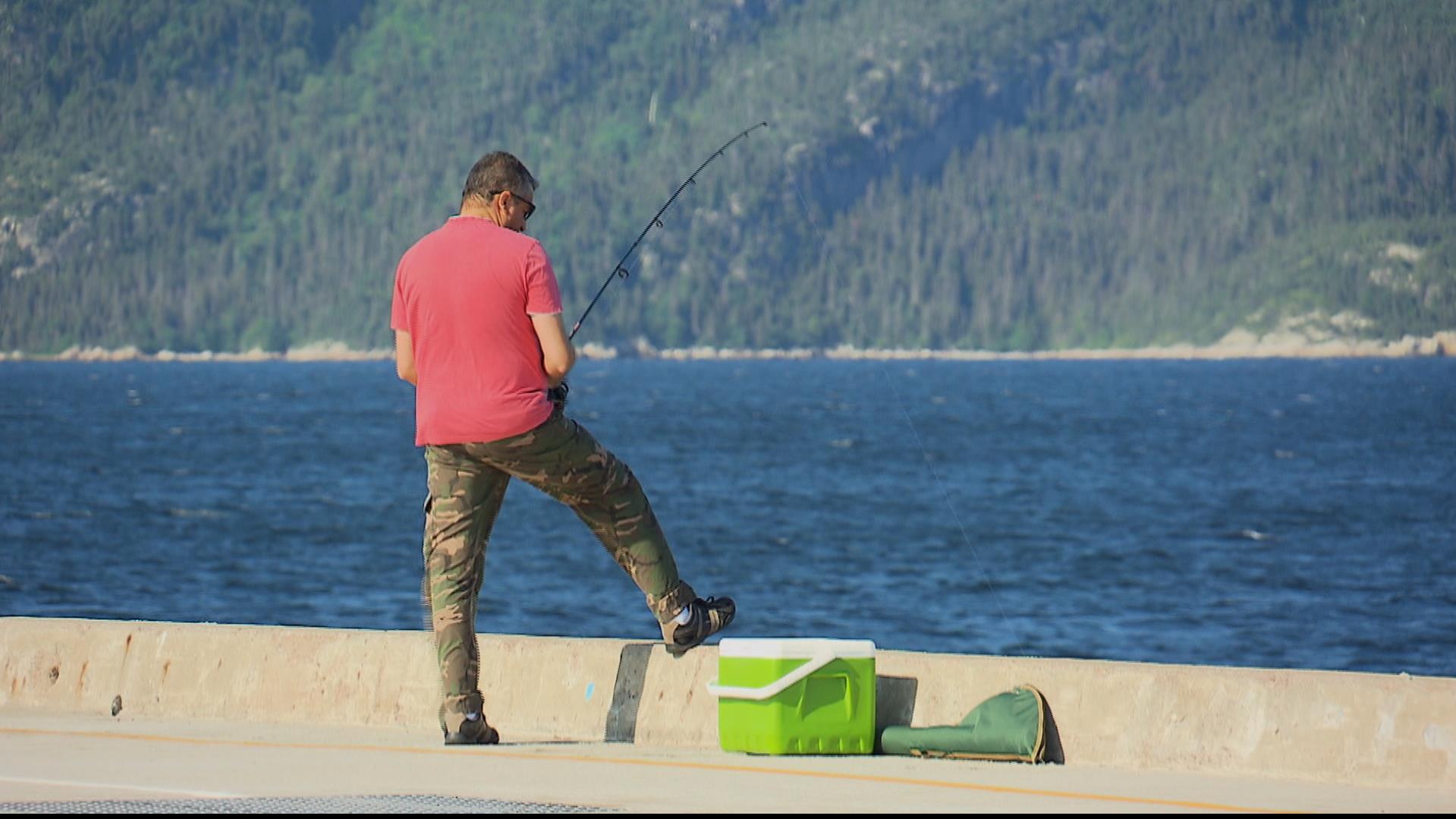 Découvrir la pêche au bar rayé dans l’EstduQuébec