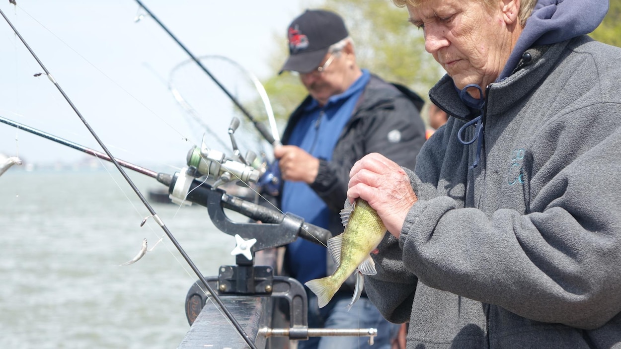 Des Pecheurs De Windsor Mangent Du Poisson Contamine Radio Canada Ca