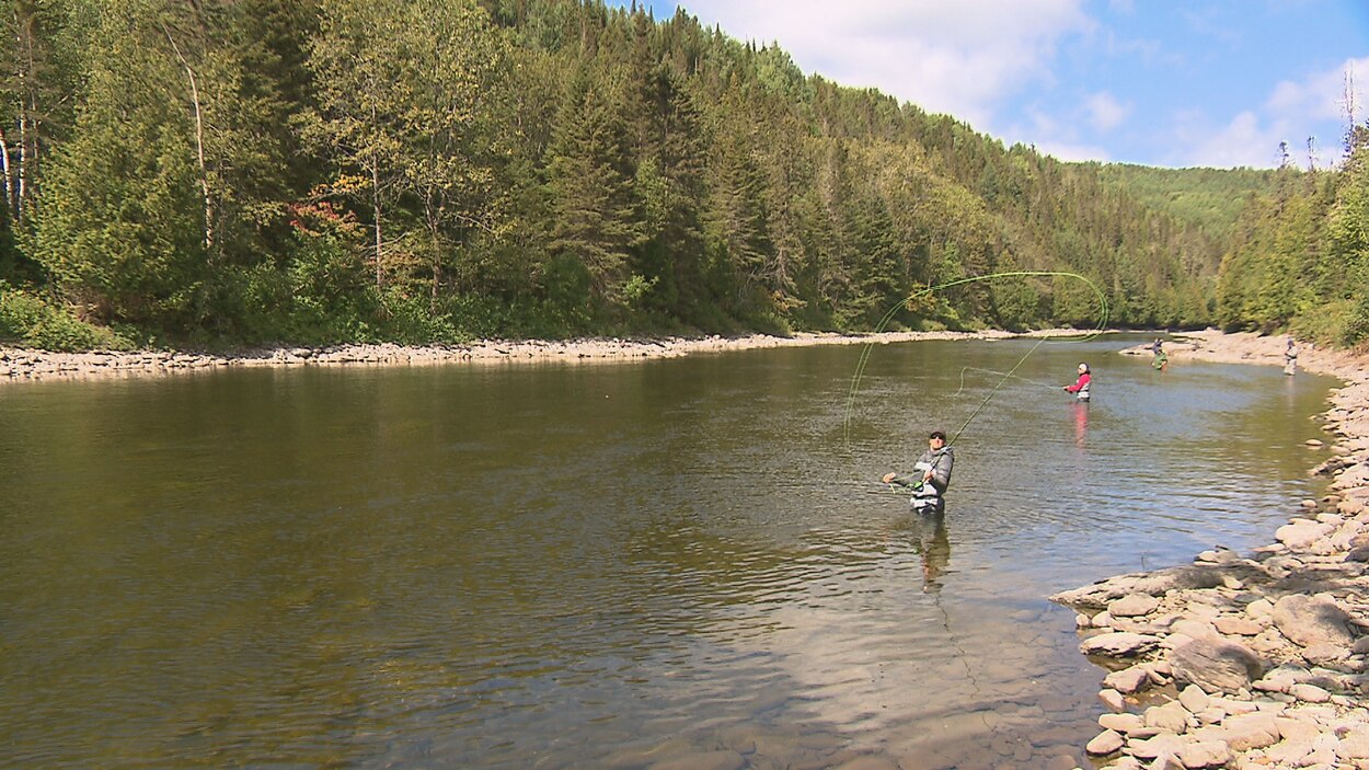 S'initier à la pêche au saumon dans la Matapédia | Radio-Canada