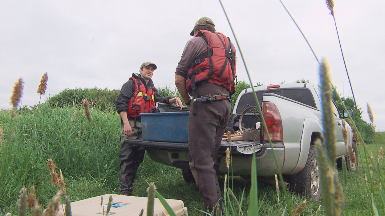 Des scientifiques recensent les poissons dans la rivière Petitcodiac ...