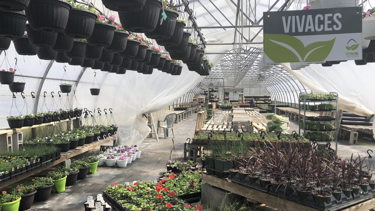 Réouverture pour les pépinières et les garages, avec soulagement