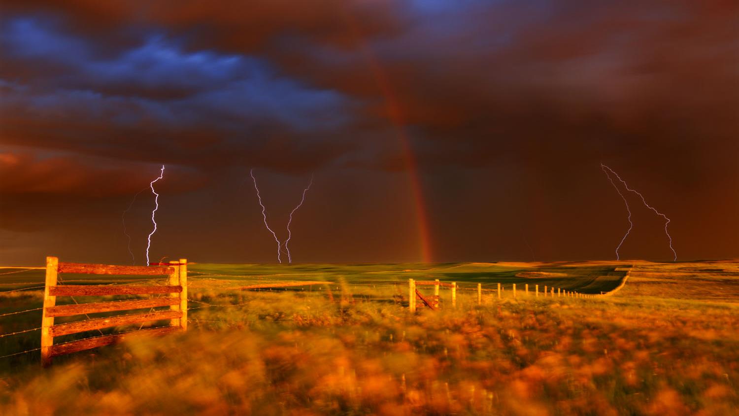 Des éclairs et un arc-en-ciel touchent terre dans un champ clôturé.