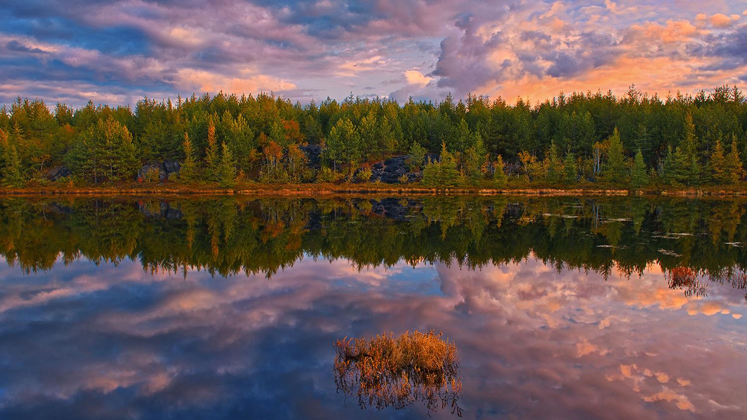 Au coucher du soleil, une forêt se réflète comme un miroir sur un lac.