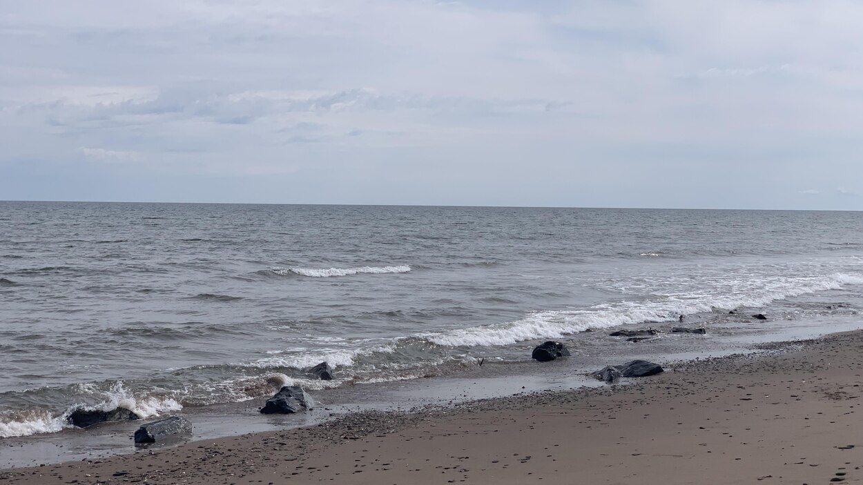 Des résidents de RivièreduPortage à la rescousse de leur plage