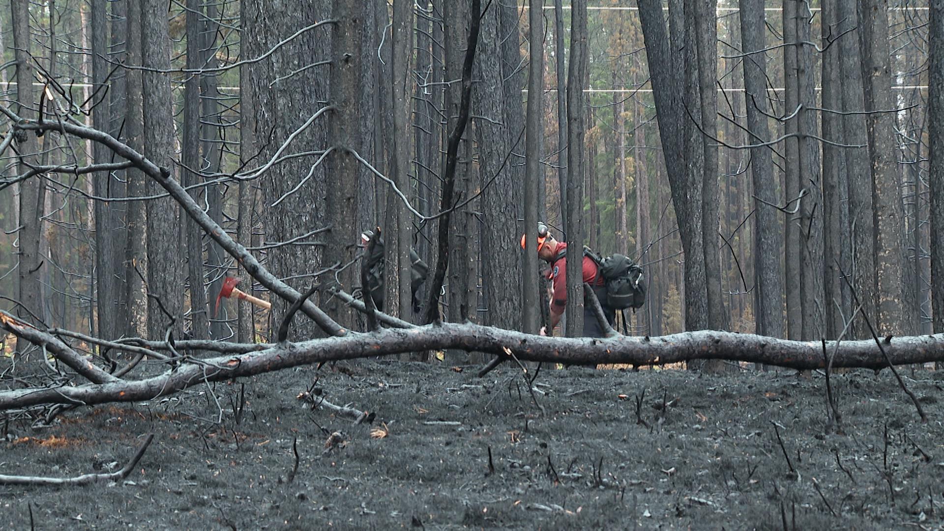 SOPFEU : « Tout est là pour avoir des incendies lors de la prochaine semaine »
SOPFEU : « Tout est là pour avoir des incendies lors de la prochaine semaine »