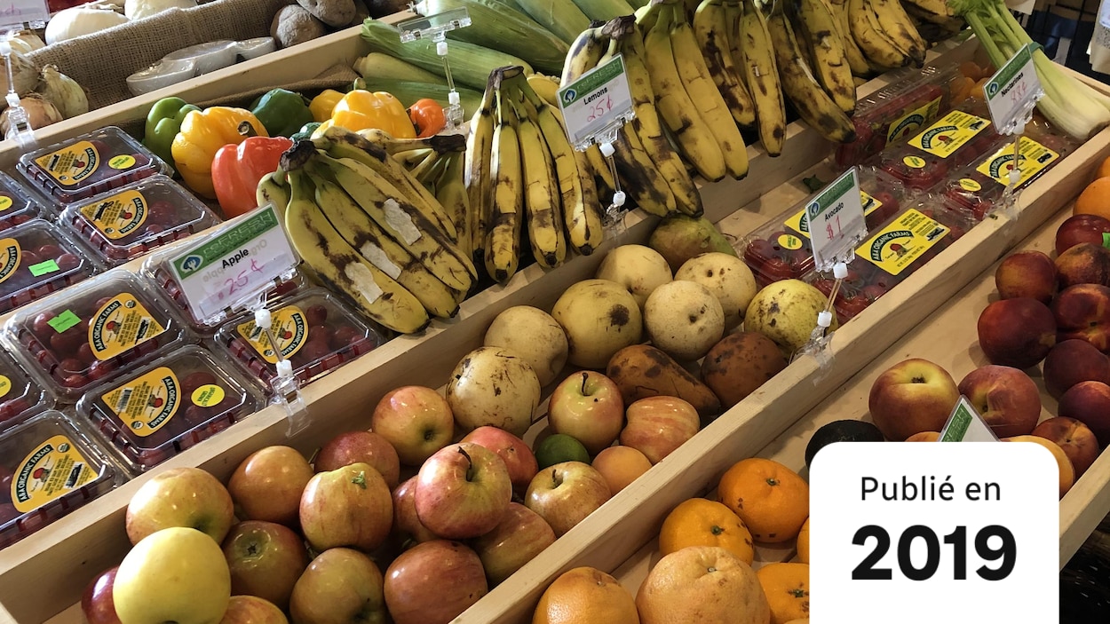 Une Entreprise Sociale Recycle Le Surplus Alimentaire Des Epiceries De Cowichan Radio Canada Ca Une Entreprise Sociale Recycle Le Surplus Alimentaire Des Epiceries De Cowichan Radio Canada Ca