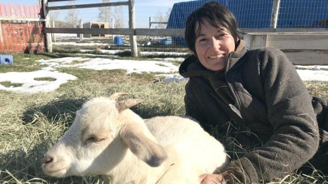 Un refuge pour animaux de la ferme voit ses revenus s