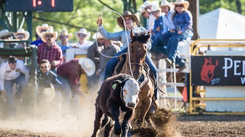 L’échappée au lasso à la Finale canadienne de rodéo
L’échappée au lasso à la Finale canadienne de rodéo