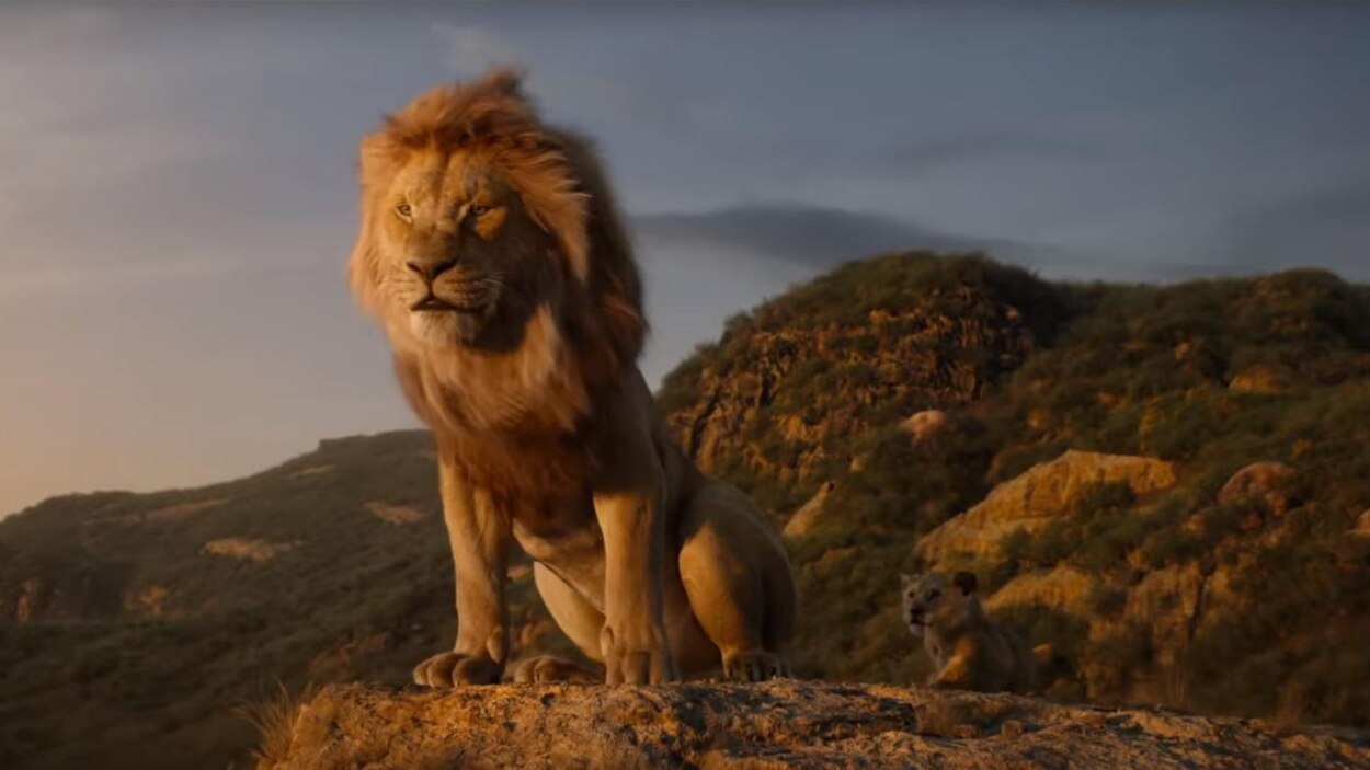 Le roi lion dévoile sa bande-annonce officielle | Radio-Canada