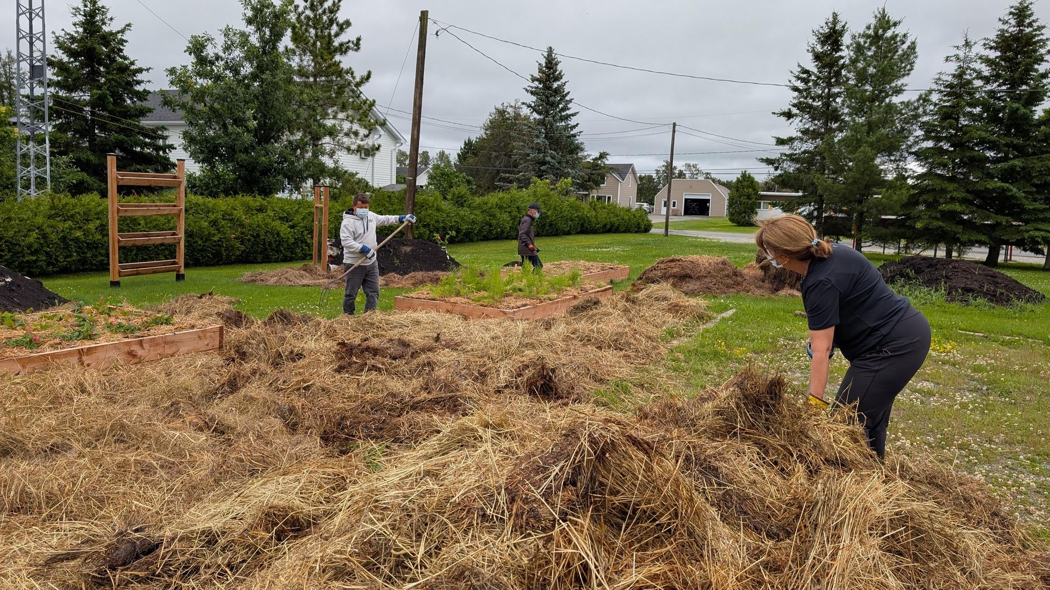 Est-ce qu'un projet de communauté nourricière est une bonne idée?