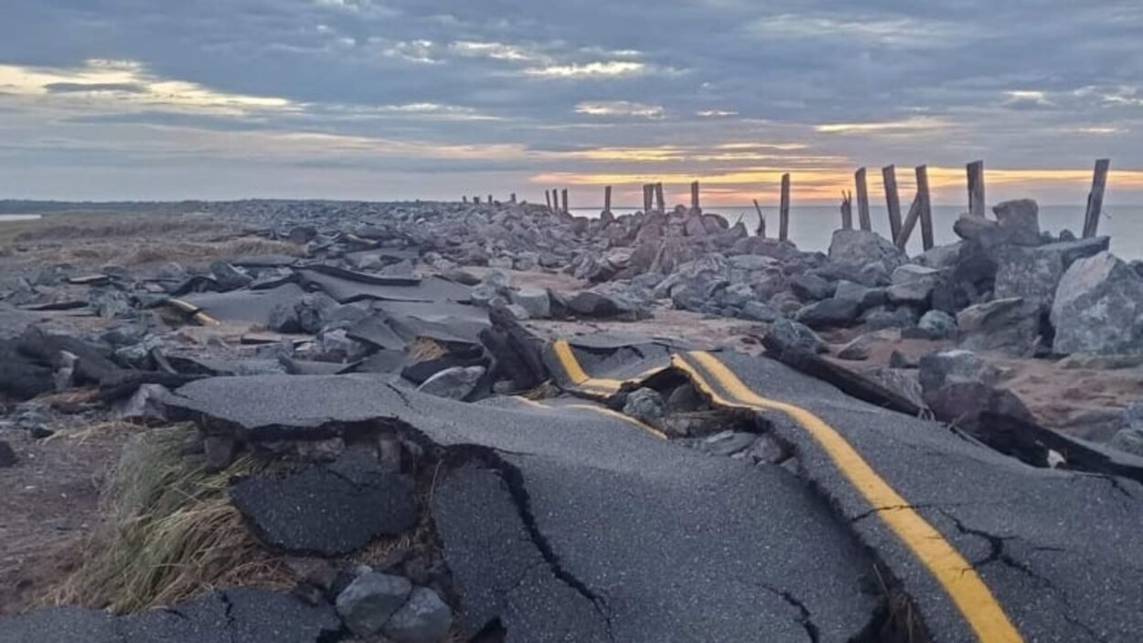 Adapting to climate change faster will save Canada billions, new ...