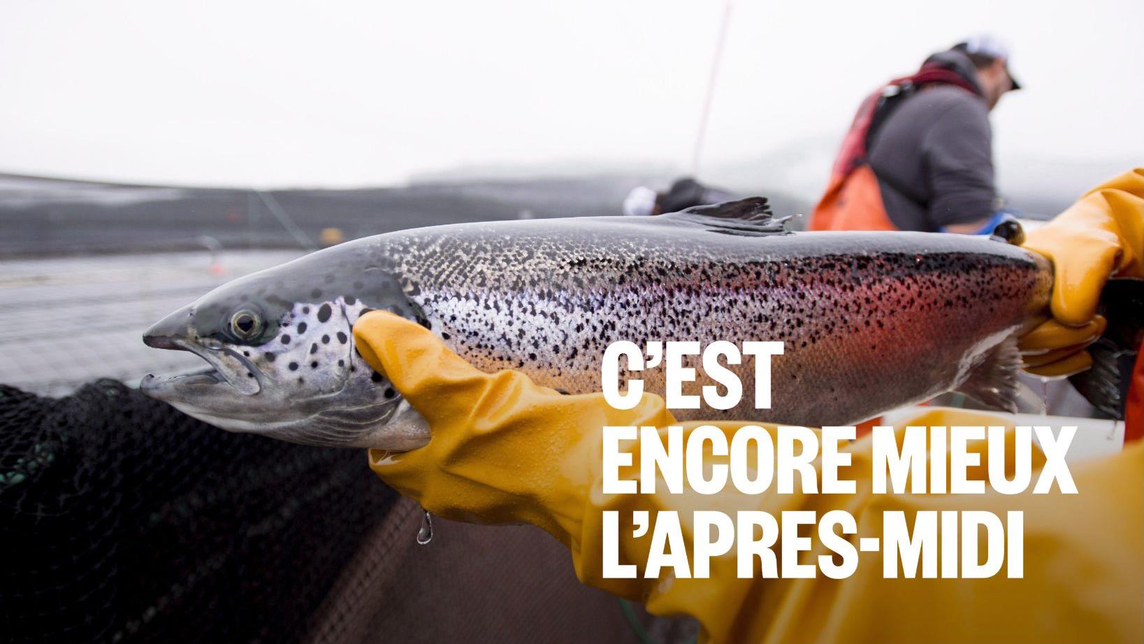 Saison de pêche : conseils de Cyril Chauquet